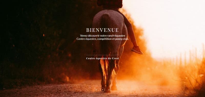 Image d'un site web de chaussure
